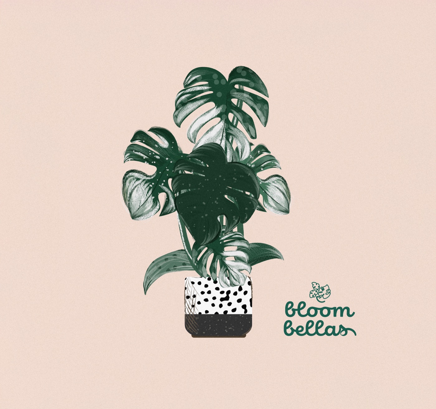 Bloombellas botanical illustration and wordmark.